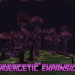 Мод The Endergetic Expansion – стилистика для края
