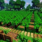 Мод Macaw’s Paths and Pavings – новый декоратив