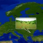Карта Europe By Green0live – основа Европы