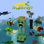 Мод Tropicraft – настоящие тропики