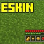 Мод AppleSkin – больше о еде