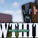 Мод WTHIT (What The Hell Is That) – информация о блоках